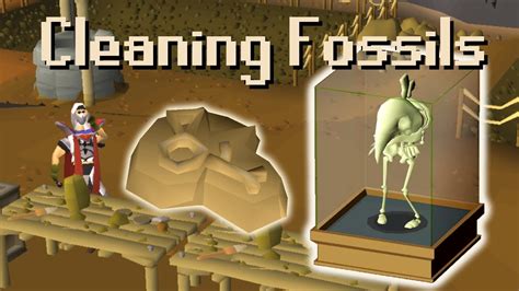 osrs cleaning fossils